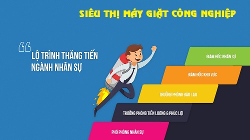 Lộ Trình Thăng Tiến Ngành Nhân Sự