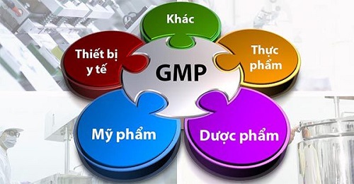 Ảnh GMP được áp dụng trong các lĩnh vực sản xuất, chế biến
