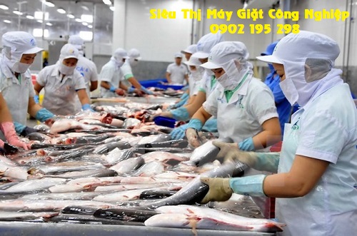 Quang cảnh trong nhà máy chế biến cá tại Cà Mau