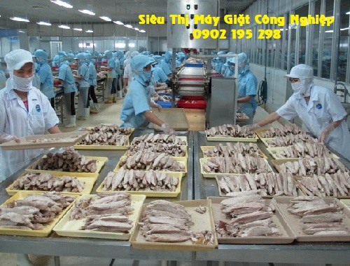 Trang phục bảo hộ trong công ty chế biến thủy, hải sản
