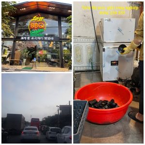 Nghiệm thu máy rửa bát cửa sập cho nhà hàng tại Thái Nguyên
