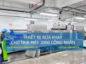 máy rửa khay công suất lớn